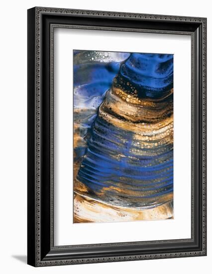 Blue beat-Heidi Westum-Framed Photographic Print