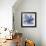 Blue Beauty I-Rebecca Meyers-Framed Giclee Print displayed on a wall