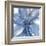 Blue Beauty II-Rebecca Meyers-Framed Giclee Print