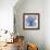 Blue Beauty II-Rebecca Meyers-Framed Giclee Print displayed on a wall