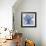 Blue Beauty II-Rebecca Meyers-Framed Giclee Print displayed on a wall