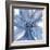 Blue Beauty II-Rebecca Meyers-Framed Giclee Print