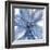 Blue Beauty II-Rebecca Meyers-Framed Giclee Print