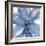 Blue Beauty II-Rebecca Meyers-Framed Giclee Print