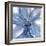 Blue Beauty II-Rebecca Meyers-Framed Giclee Print