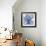 Blue Beauty II-Rebecca Meyers-Framed Giclee Print displayed on a wall