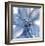 Blue Beauty II-Rebecca Meyers-Framed Giclee Print