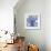 Blue Beauty II-Rebecca Meyers-Framed Giclee Print displayed on a wall