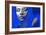 Blue Beauty-NaxArt-Framed Art Print