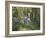 Blue Bell Wood-Bob Langrish-Framed Photographic Print