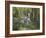 Blue Bell Wood-Bob Langrish-Framed Photographic Print