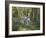 Blue Bell Wood-Bob Langrish-Framed Photographic Print