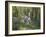 Blue Bell Wood-Bob Langrish-Framed Photographic Print