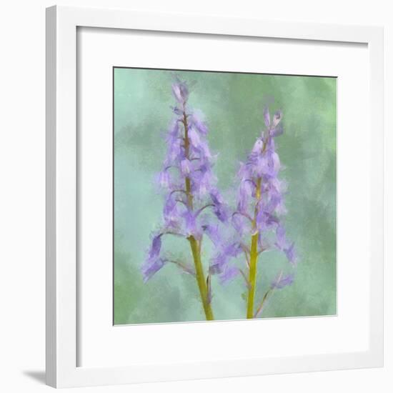 Blue Bells-Cora Niele-Framed Giclee Print