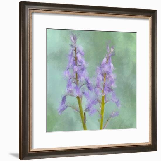 Blue Bells-Cora Niele-Framed Giclee Print