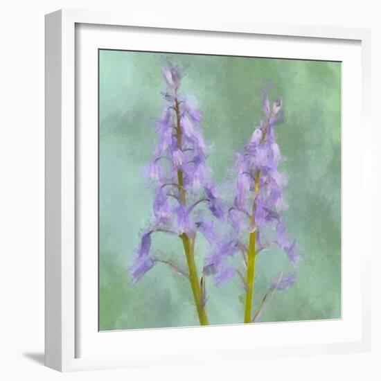 Blue Bells-Cora Niele-Framed Giclee Print