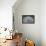 Blue bigleaf hydrangea-Lisa Engelbrecht-Framed Premier Image Canvas displayed on a wall