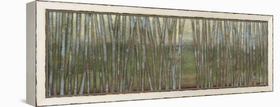 Blue Birch Forest II-Norman Wyatt Jr.-Framed Stretched Canvas