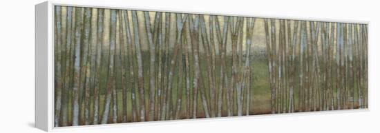 Blue Birch Forest II-Norman Wyatt Jr.-Framed Stretched Canvas