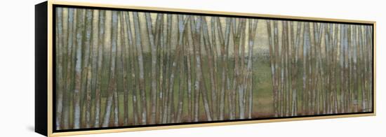 Blue Birch Forest II-Norman Wyatt Jr.-Framed Stretched Canvas