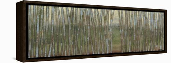 Blue Birch Forest II-Norman Wyatt Jr.-Framed Stretched Canvas