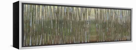 Blue Birch Forest II-Norman Wyatt Jr.-Framed Stretched Canvas