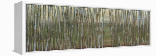 Blue Birch Forest II-Norman Wyatt Jr.-Framed Stretched Canvas