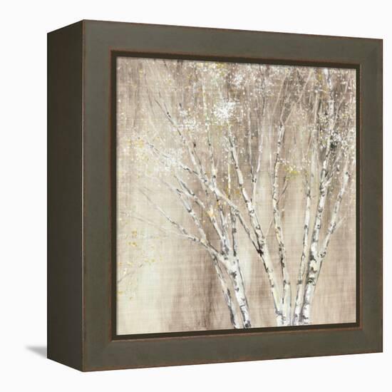 Blue Birch Neutral-Julia Purinton-Framed Stretched Canvas