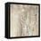 Blue Birch Neutral-Julia Purinton-Framed Stretched Canvas