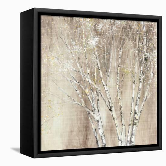 Blue Birch Neutral-Julia Purinton-Framed Stretched Canvas