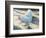 Blue Bird, 1986-Sandra Lawrence-Framed Giclee Print