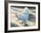 Blue Bird, 1986-Sandra Lawrence-Framed Giclee Print