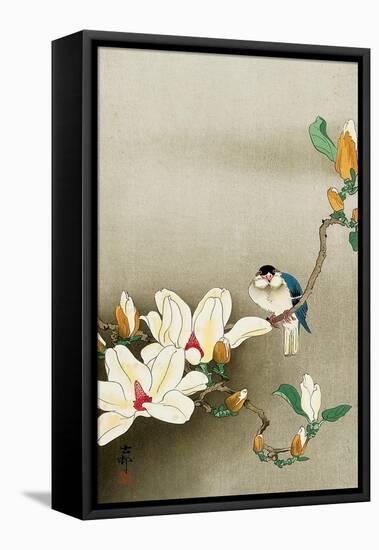 Blue Bird and Magnolia-Koson Ohara-Framed Premier Image Canvas