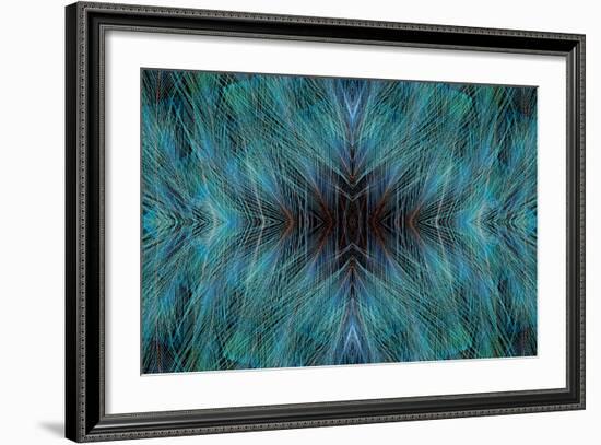 Blue, Bird of Paradise Feathers-Darrell Gulin-Framed Photographic Print