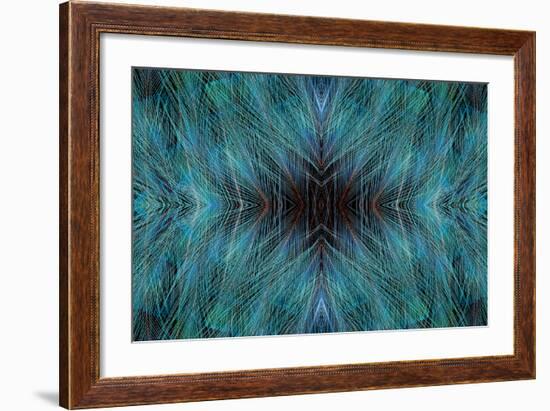 Blue, Bird of Paradise Feathers-Darrell Gulin-Framed Photographic Print