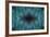 Blue, Bird of Paradise Feathers-Darrell Gulin-Framed Photographic Print