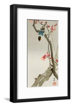 Blue Bird on a Plum Tree-Koson Ohara-Framed Giclee Print