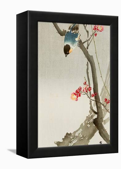 Blue Bird on a Plum Tree-Koson Ohara-Framed Premier Image Canvas