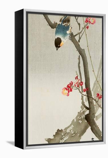 Blue Bird on a Plum Tree-Koson Ohara-Framed Premier Image Canvas