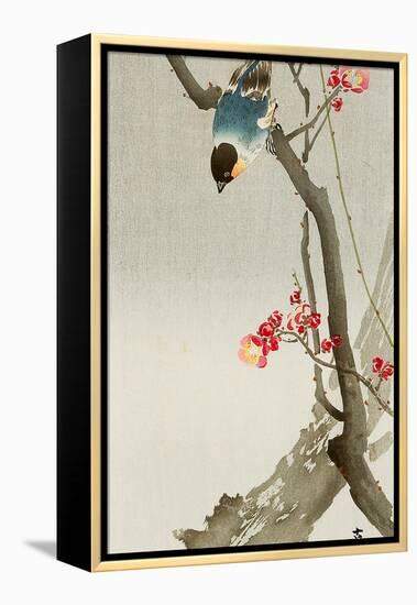 Blue Bird on a Plum Tree-Koson Ohara-Framed Premier Image Canvas