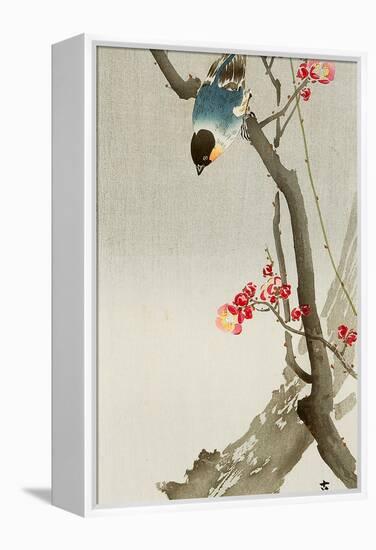 Blue Bird on a Plum Tree-Koson Ohara-Framed Premier Image Canvas