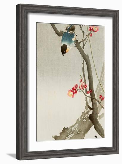 Blue Bird on a Plum Tree-Koson Ohara-Framed Giclee Print