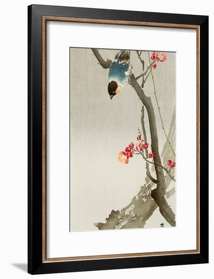 Blue Bird on a Plum Tree-Koson Ohara-Framed Giclee Print