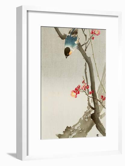 Blue Bird on a Plum Tree-Koson Ohara-Framed Giclee Print