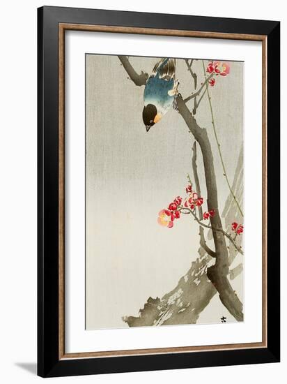 Blue Bird on a Plum Tree-Koson Ohara-Framed Giclee Print