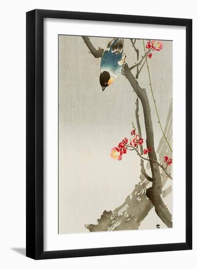 Blue Bird on a Plum Tree-Koson Ohara-Framed Giclee Print