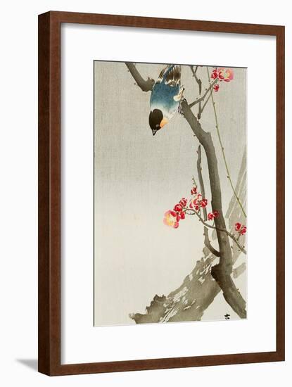 Blue Bird on a Plum Tree-Koson Ohara-Framed Giclee Print