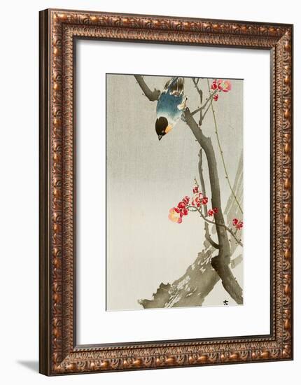 Blue Bird on a Plum Tree-Koson Ohara-Framed Premium Giclee Print