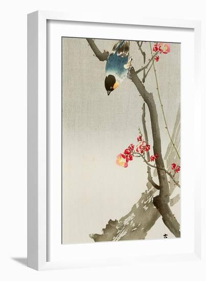 Blue Bird on a Plum Tree-Koson Ohara-Framed Premium Giclee Print