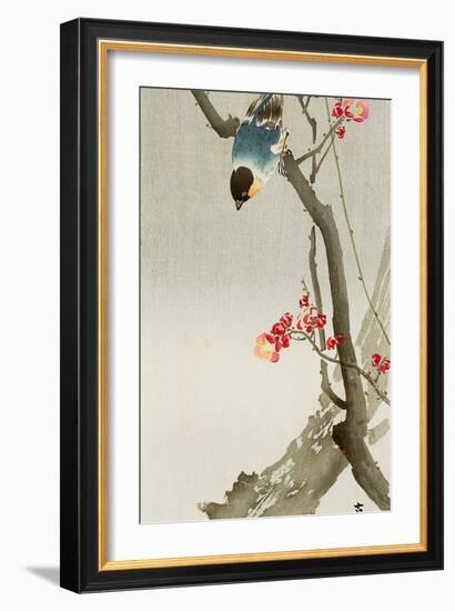 Blue Bird on a Plum Tree-Koson Ohara-Framed Premium Giclee Print